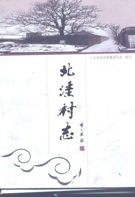 《《北洼村志》》.pdf电子版_河南省志缩略图