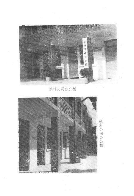 《《燃料公司志(1979-1984)》》.pdf电子版_河南省志预览图4