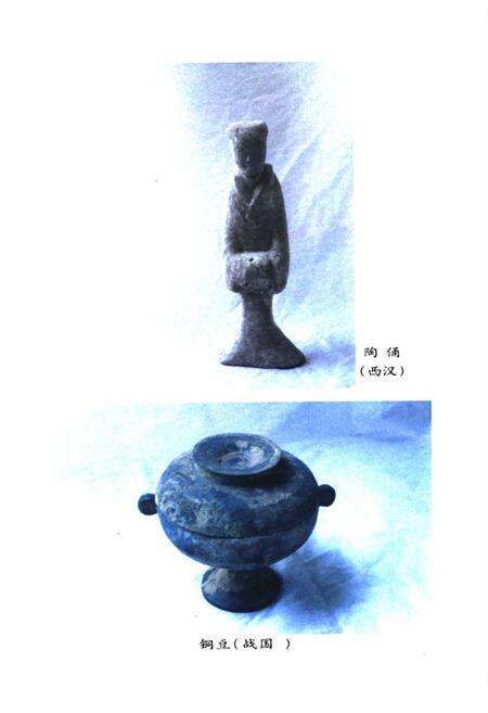 《长垣文化志》.pdf电子版_河南省志预览图5