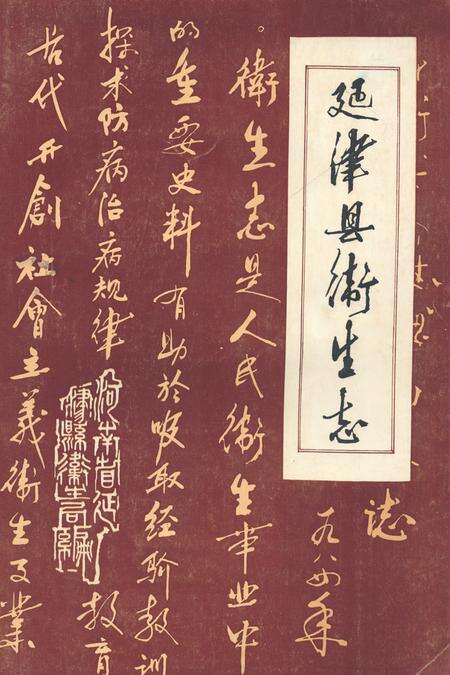 《《延津县卫生志》》.pdf电子版_河南省志缩略图