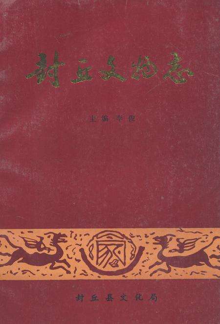《《封丘县文物志》》.pdf电子版_河南省志缩略图