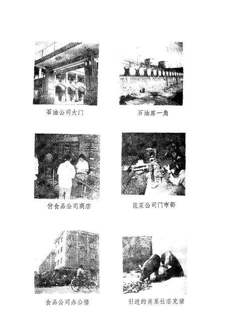 《《新安县商业志》》.pdf电子版_河南省志预览图4