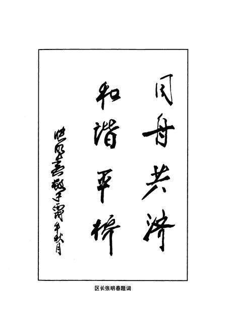 《信阳市平桥区政协志(1998-2006)》.pdf电子版_河南省志预览图5