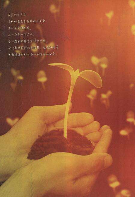 《郑州市第十九中学校志》.pdf电子版_河南省志预览图5