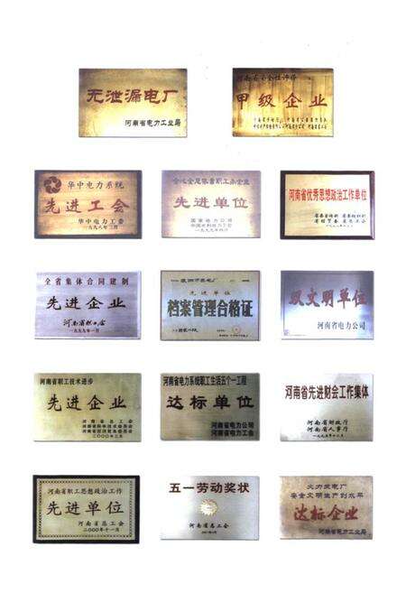 《濮阳市热电厂志(1988-2000)》.pdf电子版_河南省志预览图4