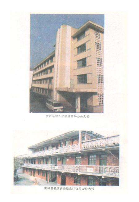 《唐河县外贸志》.pdf电子版_河南省志预览图4
