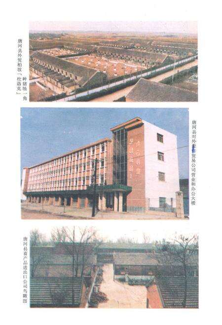 《唐河县外贸志》.pdf电子版_河南省志预览图5