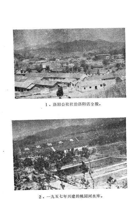 《《洛阳社志》》.pdf电子版_河南省志预览图4