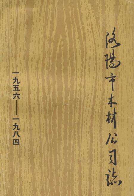 《《洛阳市木材公司志(1956-1984)》》.pdf电子版_河南省志缩略图