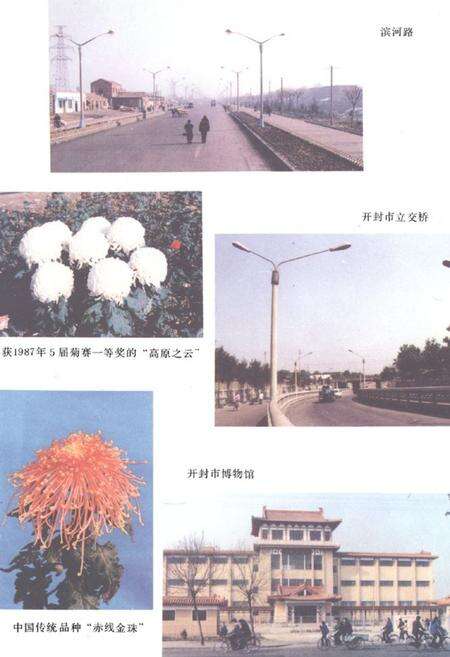 《《开封市城建志》》.pdf电子版_河南省志预览图2
