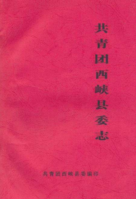 《共青团西峡县委志》.pdf电子版_河南省志缩略图