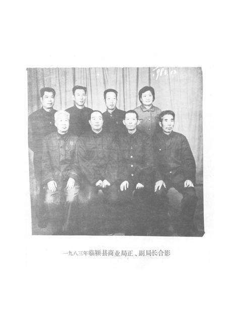 《临颍县商业志(1908-1984)》.pdf电子版_河南省志预览图4