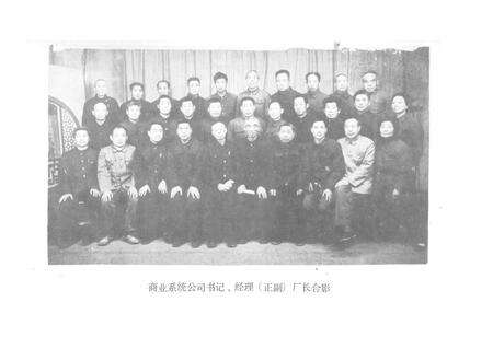 《临颍县商业志(1908-1984)》.pdf电子版_河南省志预览图5