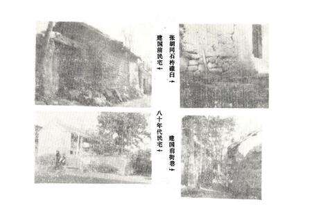 《《思礼村志》》.pdf电子版_河南省志预览图3