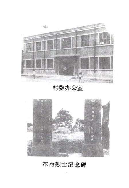 《《镇抚寨村志》》.pdf电子版_河南省志预览图5