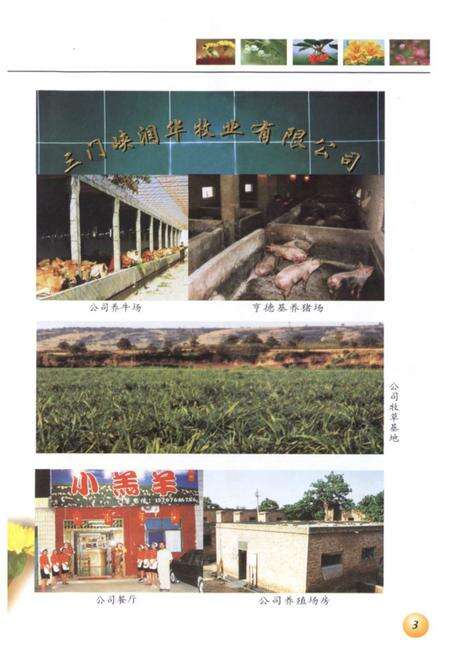 《《尚家湾村志》》.pdf电子版_河南省志预览图5