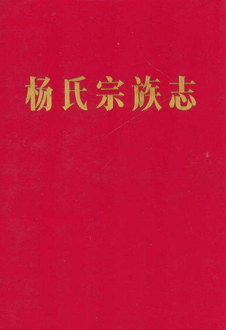 《《杨氏宗族志》》.pdf电子版_河南省志缩略图