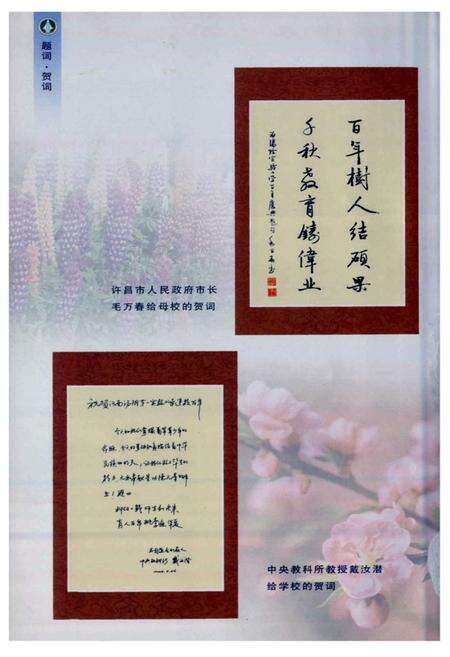 《汤阴第一实验小学校志 暨一百周年校庆》.pdf电子版_河南省志预览图5