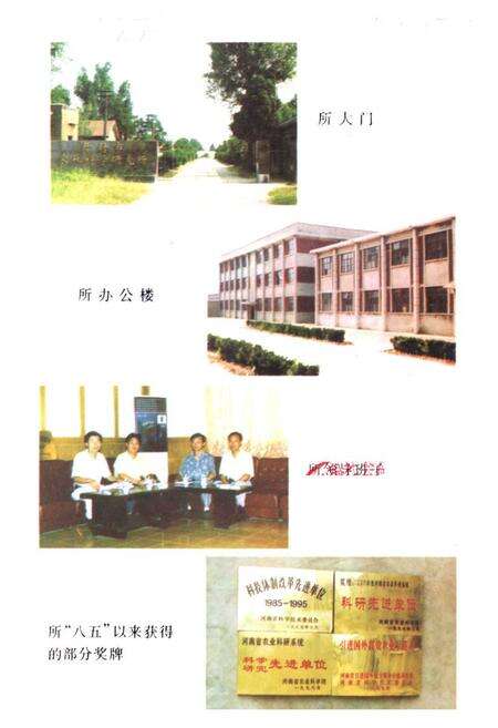 《《开封农林科研所志(1958-1996)》》.pdf电子版_河南省志预览图2