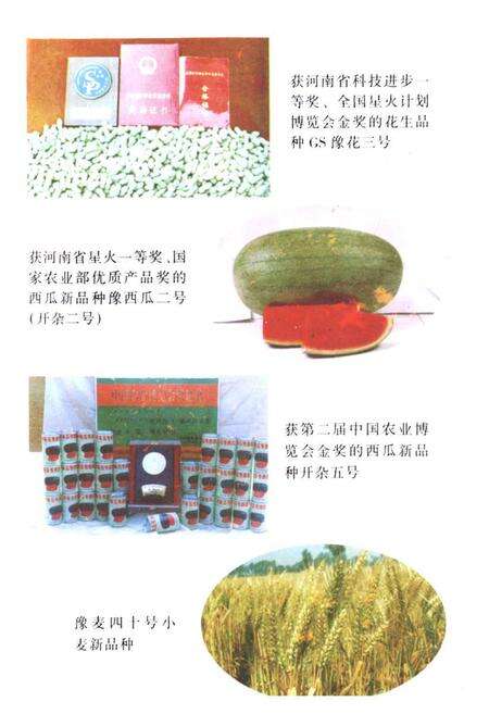 《《开封农林科研所志(1958-1996)》》.pdf电子版_河南省志预览图4