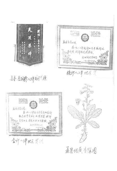 《《孟县医业志》》.pdf电子版_河南省志预览图3