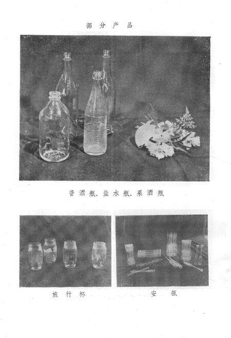 《开封玻璃总厂志(1950-1982)》.pdf电子版_河南省志预览图5