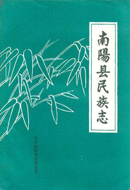 《南阳县民族志》.pdf电子版_河南省志缩略图