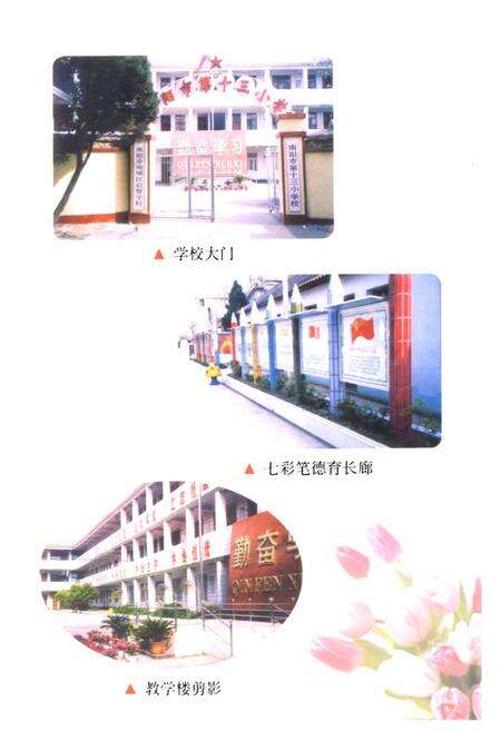 《南阳市第十三小学校志(1951-2000)》.pdf电子版_河南省志预览图3