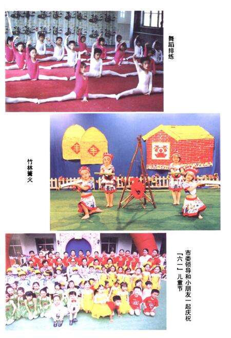 《郑州市实验幼儿园(园志)1958-2002》.pdf电子版_河南省志预览图4