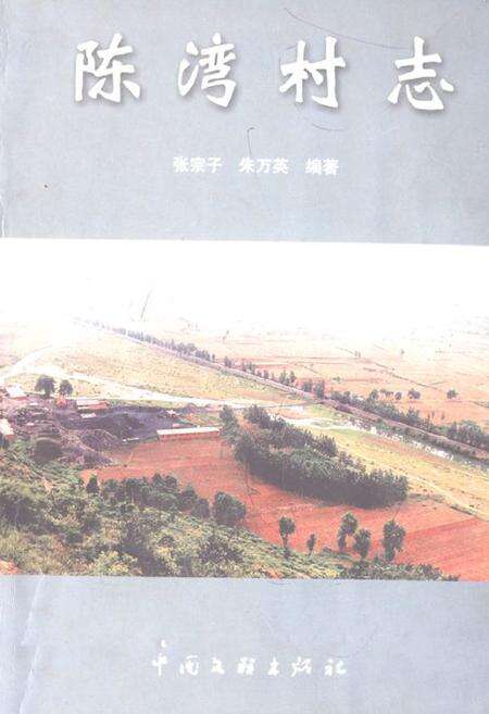 《《陈湾村志》》.pdf电子版_河南省志缩略图