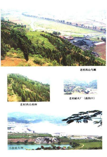 《《陈湾村志》》.pdf电子版_河南省志预览图3