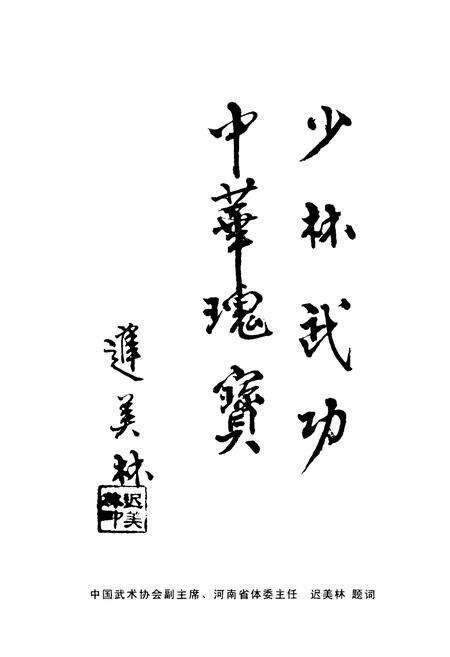 《中国嵩山少林寺武术学校志(1980~2000)》.pdf电子版_河南省志预览图5