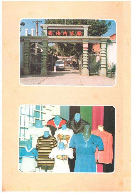 《安阳内衣厂厂志(1928-1985)》.pdf电子版_河南省志预览图2