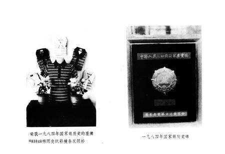 《安阳内衣厂厂志(1928-1985)》.pdf电子版_河南省志预览图4