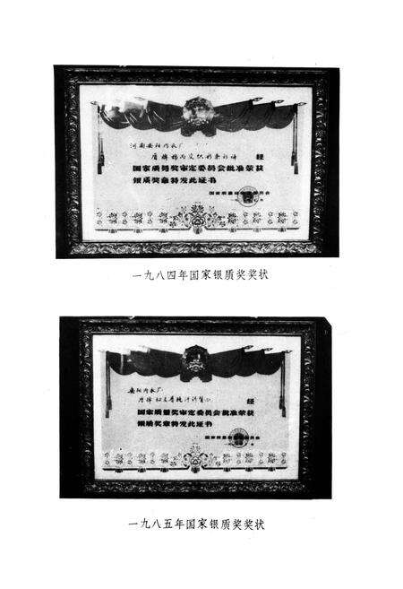 《安阳内衣厂厂志(1928-1985)》.pdf电子版_河南省志预览图5