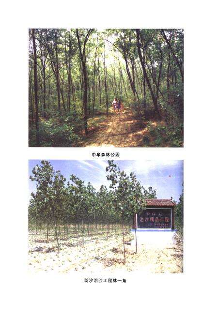 《郑州林业志·中牟县卷(1978-2008)》.pdf电子版_河南省志预览图4