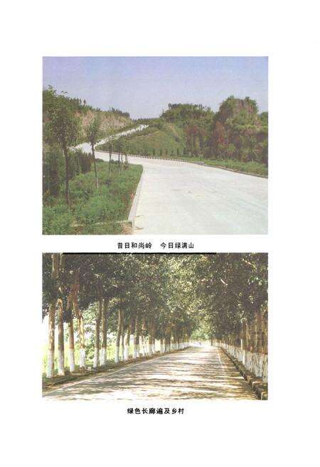 《郑州林业志·市区卷(1978-2008)》.pdf电子版_河南省志预览图5