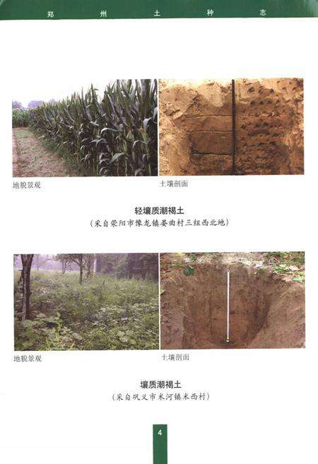 《郑州土种志》.pdf电子版_河南省志预览图5