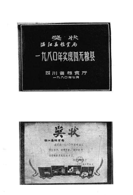 《四川省温县粮食局局志》.pdf电子版_河南省志预览图5