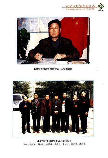 《灵宝市供销合作社志》.pdf电子版_河南省志预览图5