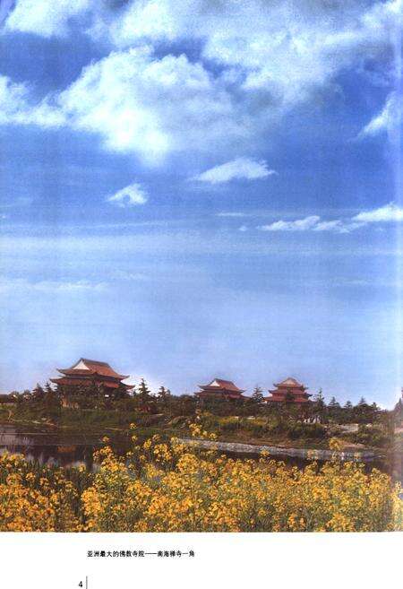 《河南省汝南县第二高级中学百年校志(1905-2005)》.pdf电子版_河南省志预览图5