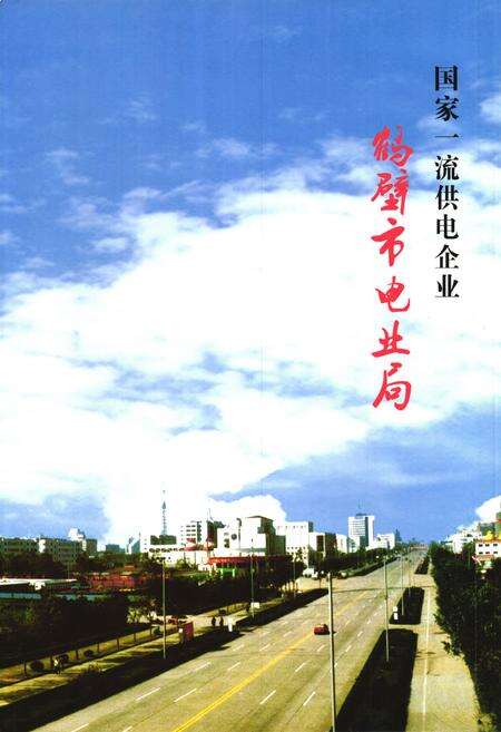 《《鹤壁市电业局志》》.pdf电子版_河南省志预览图3