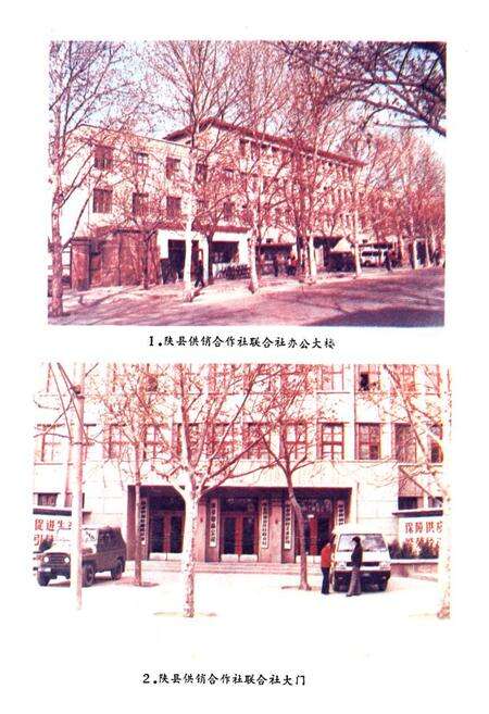 《陕县供销合作》.pdf电子版_河南省志预览图3