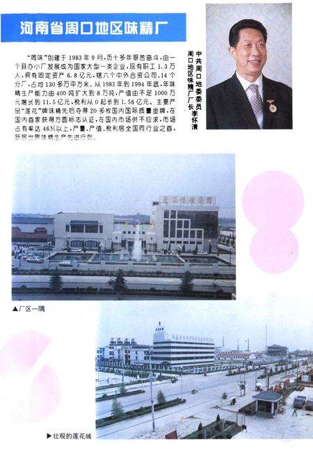 《《周口地区工商企业志》》.pdf电子版_河南省志预览图5