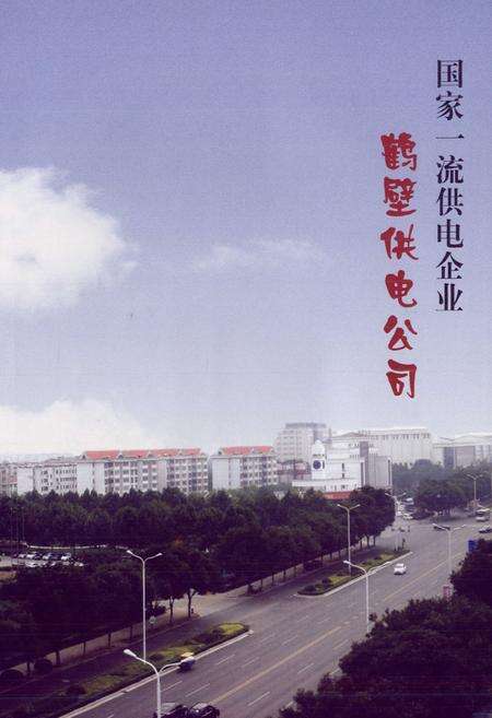 《鹤壁供电志(2006-2010)》.pdf电子版_河南省志预览图3