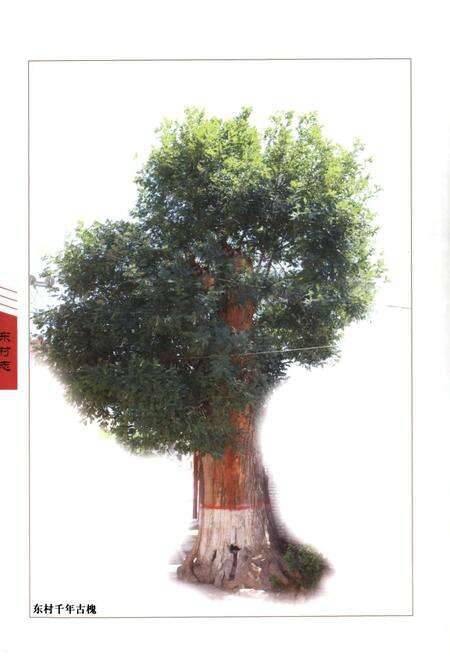 《东村志》.pdf电子版_河南省志预览图3