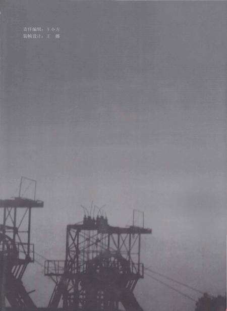 《郑煤集团志 上 1984-2010》.pdf电子版_河南省志预览图2