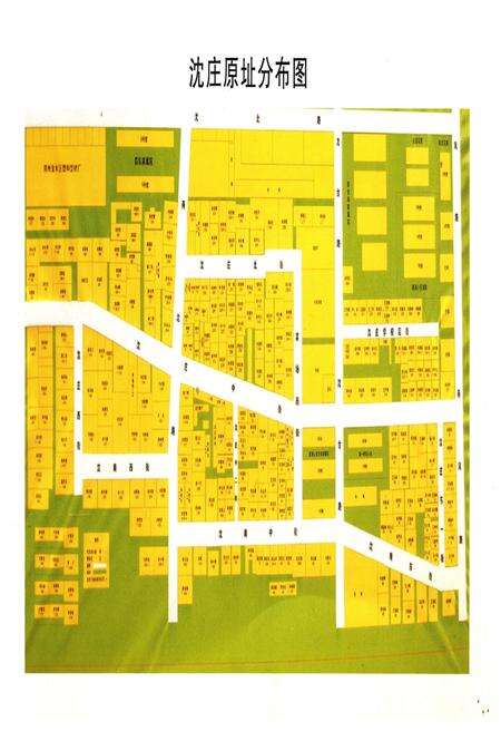 《沈庄村志·家谱》.pdf电子版_河南省志预览图1
