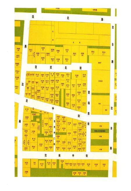 《沈庄村志·家谱》.pdf电子版_河南省志预览图3