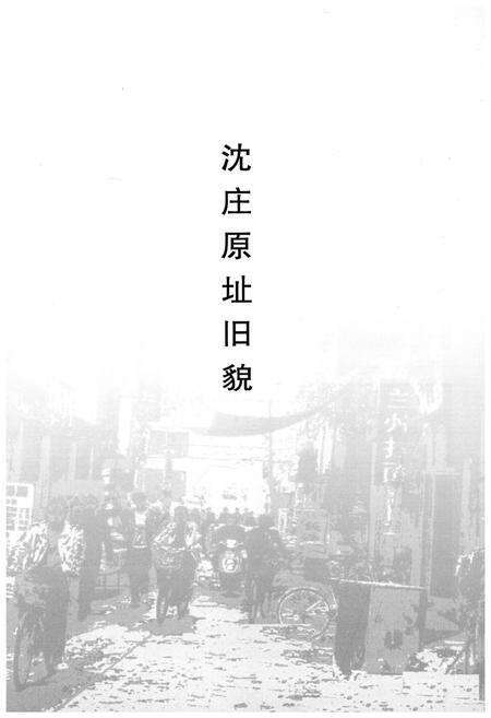 《沈庄村志·家谱》.pdf电子版_河南省志预览图5